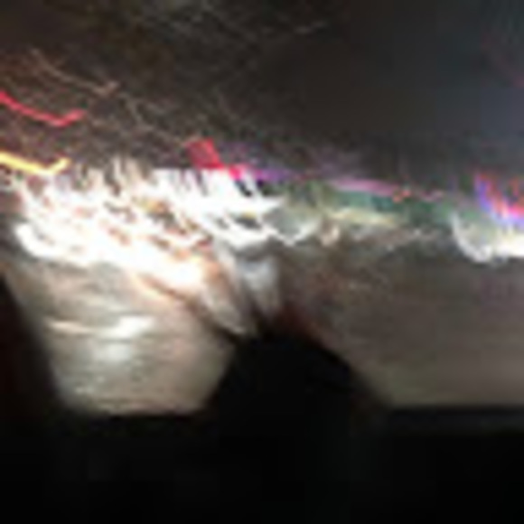 Meet your Posher, Yoyo - Picture 1 of 1